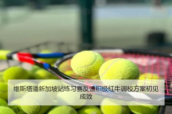 维斯塔潘新加坡站练习赛反馈积极红牛调校方案初见成效